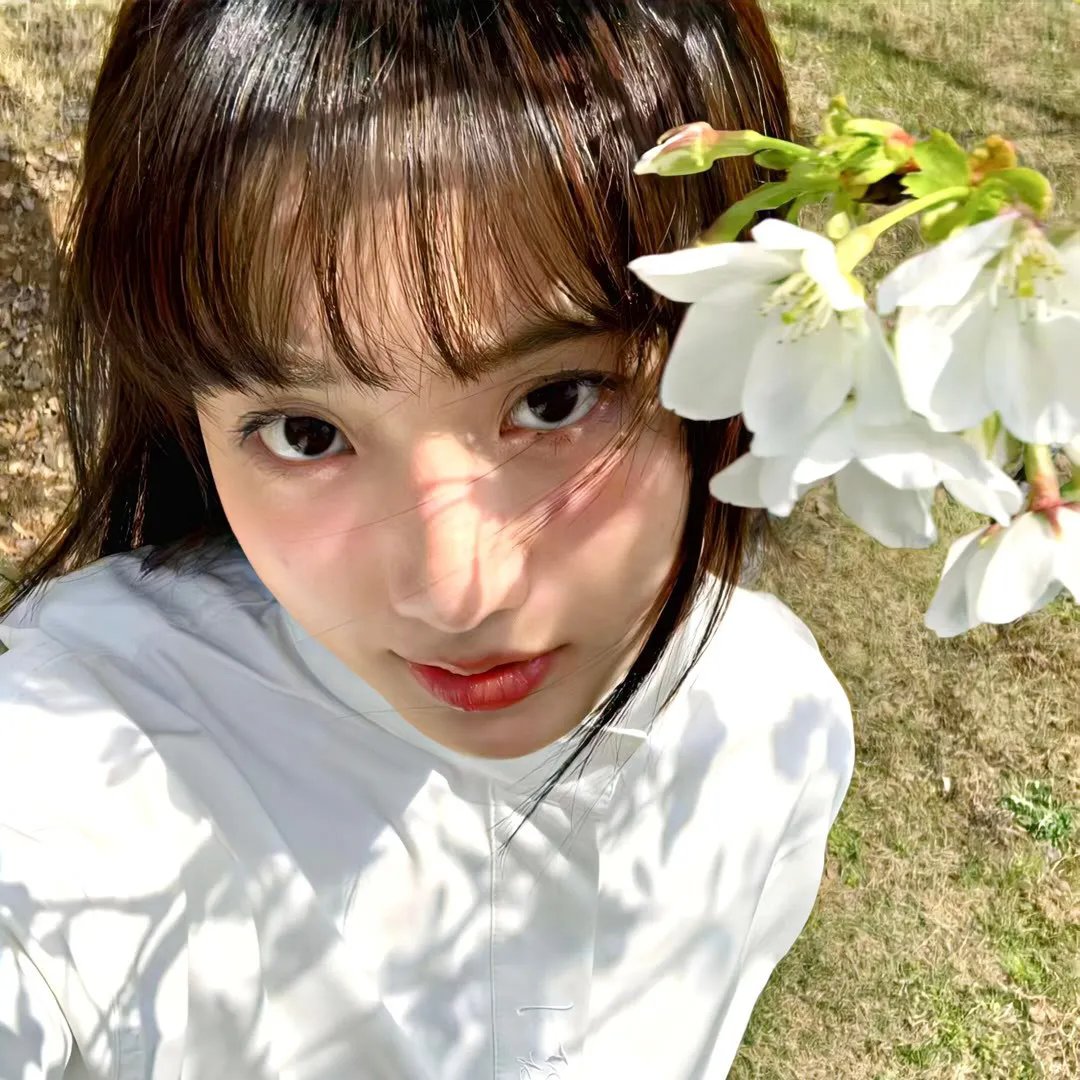 拉丁美洲