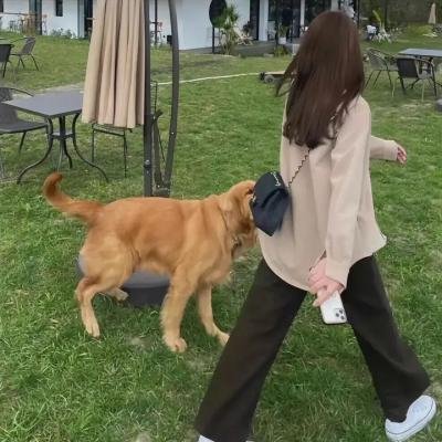 黑暗之风第二季